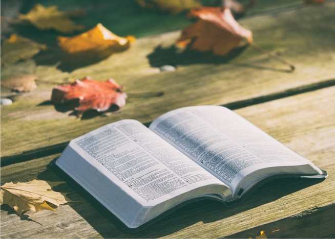 Lição 12 Sabedoria Divina Para a Tomada de Decisões