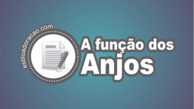 Função dos Anjos