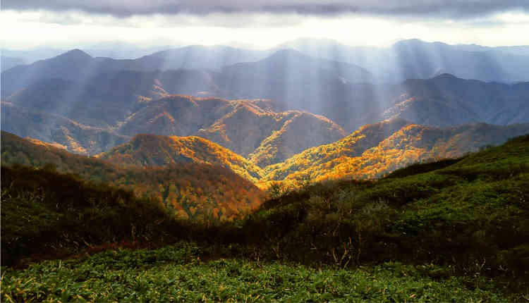 Qual é o lugar que Deus habita?