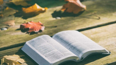 Livros Históricos da Bíblia