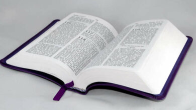 Tipos de Salmos