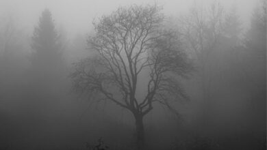 Ainda Que eu Ande Pelo Vale da Sombra da Morte