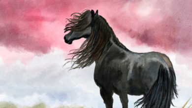 Cavalo preto do Apocalipse
